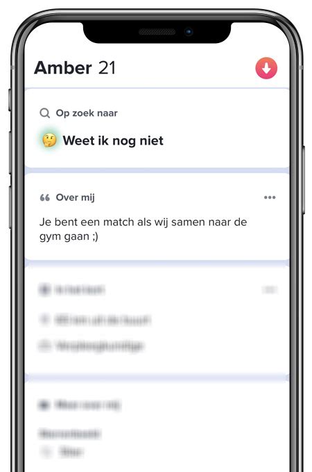 tinder gesprekken voorbeeld|53 Beste Tinder Bio Voorbeelden Die Matches。